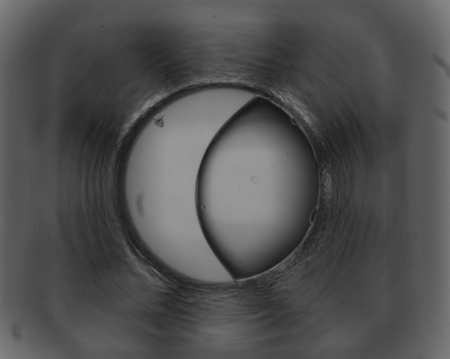 X0000093210684200709261425