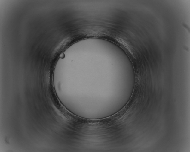 X0000093210686200709261425