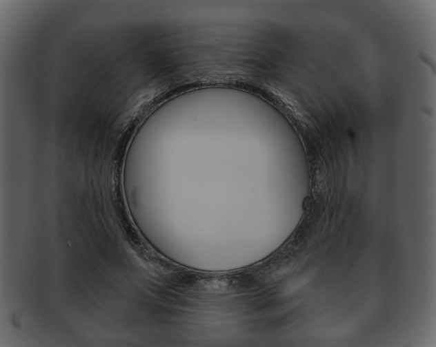 X0000093210687200709261425