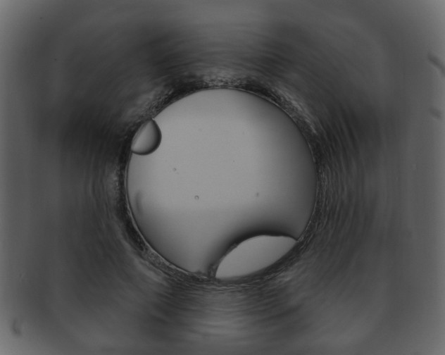 X0000093210690200709261425