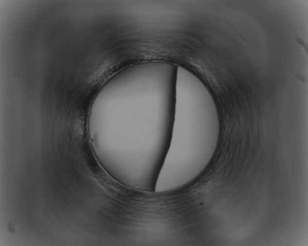 X0000093210691200709261425