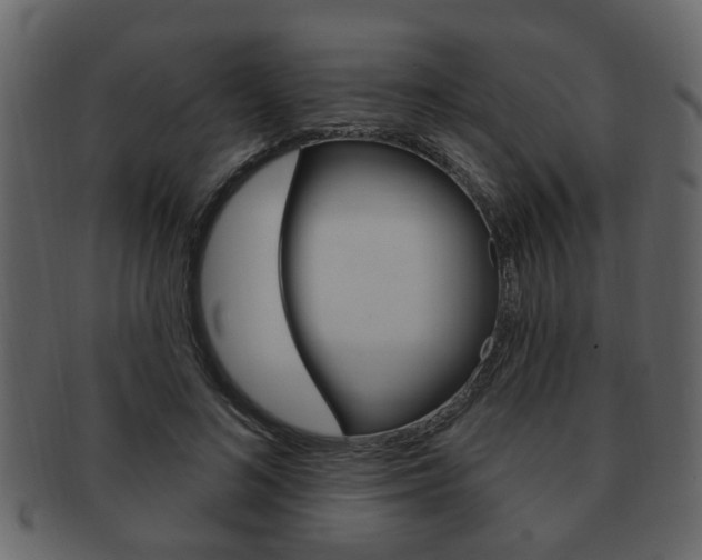 X0000093210692200709261425