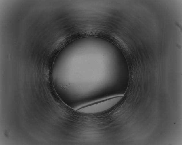 X0000093210693200709261425