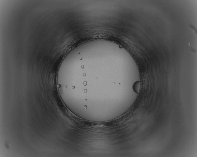 X0000093210695200709261425
