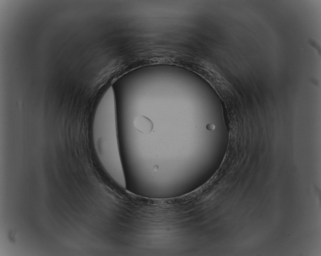X0000093210696200709261425