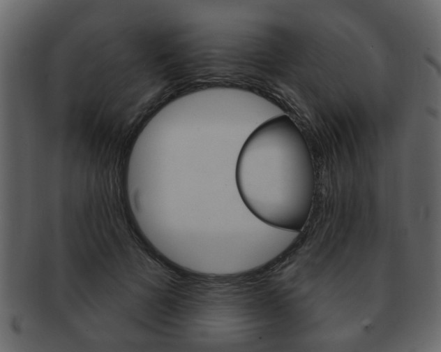 X0000093210697200709261425