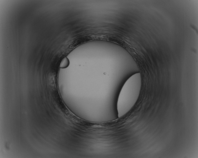 X0000093210699200709261425