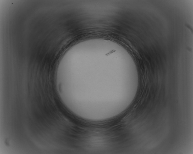 X0000093210701200709261425
