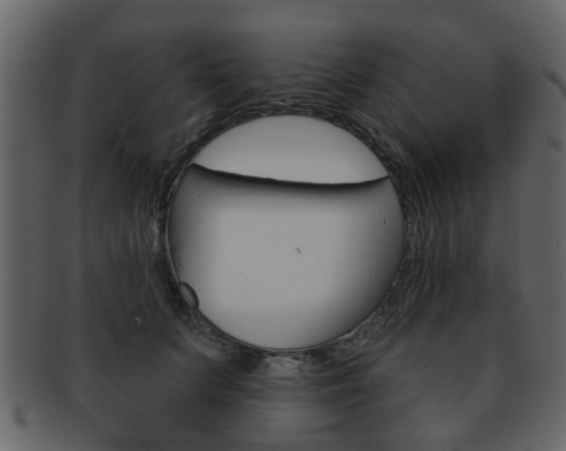 X0000093210703200709261425