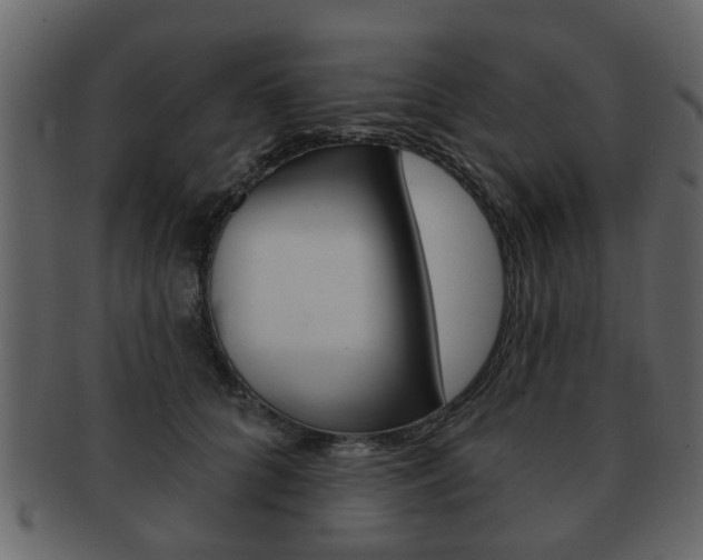 X0000093210704200709261425