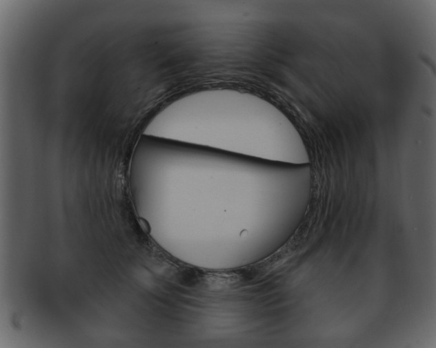 X0000093210707200709261425