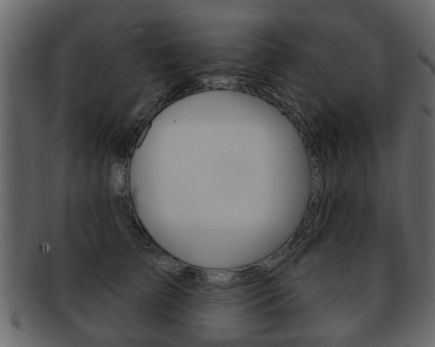 X0000093210709200709261425
