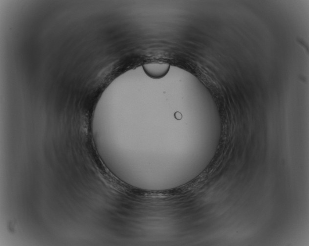 X0000093210710200709261425