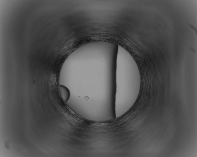 X0000093210711200709261425