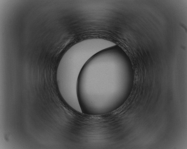 X0000093210712200709261425