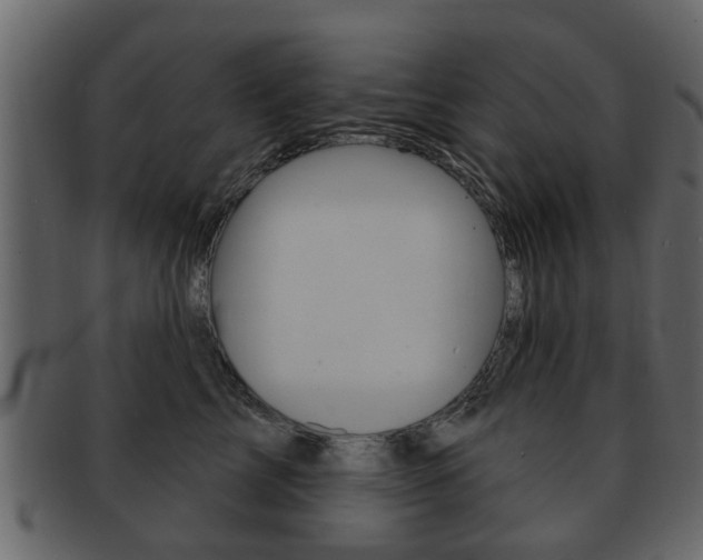 X0000093210713200709261425