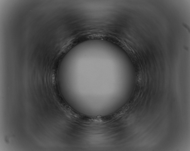 X0000093210715200709261425