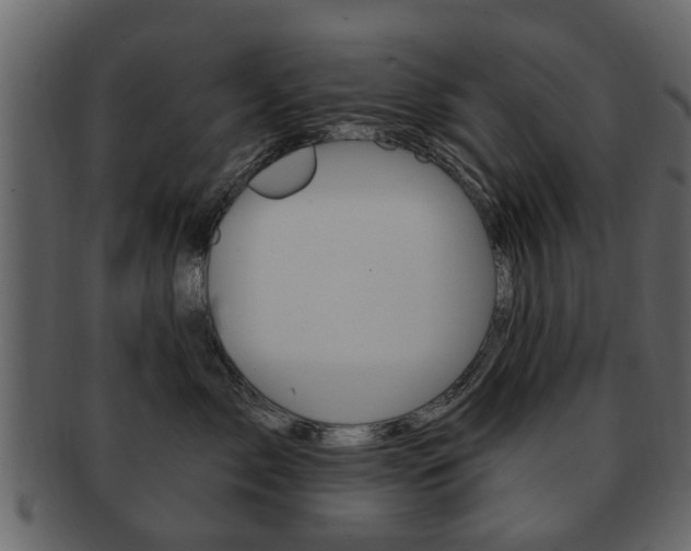 X0000093210717200709261425