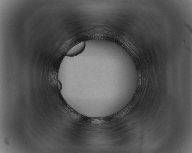 X0000093210718200709261425