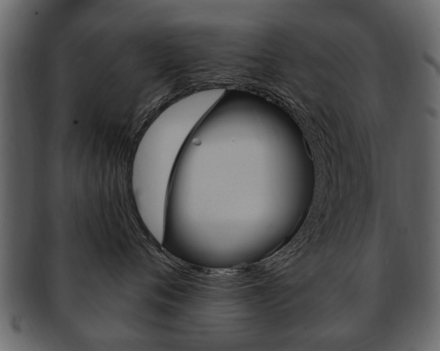 X0000093210720200709261425