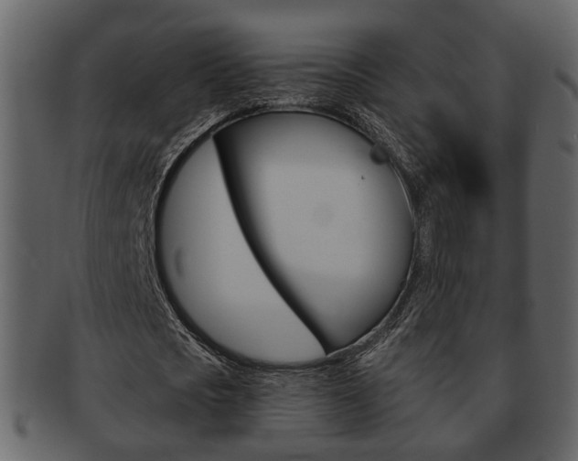 X0000093210721200709261424