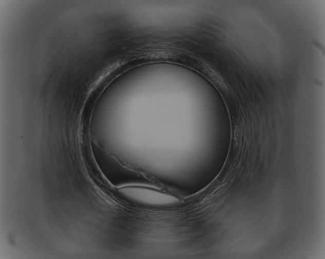X0000093210722200709261424