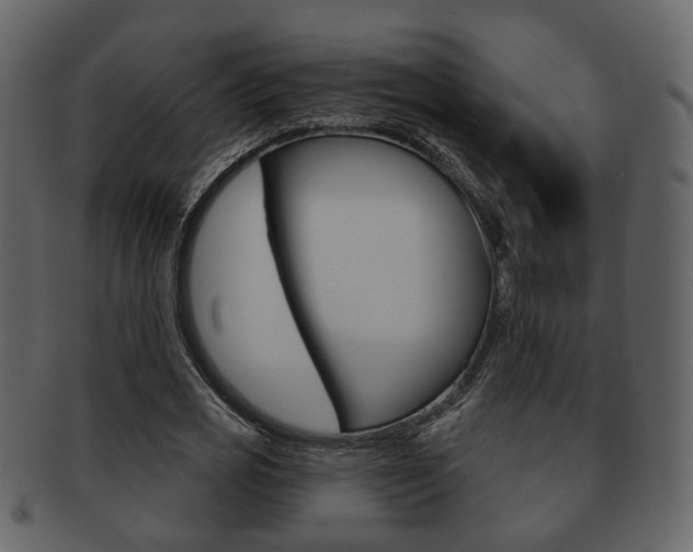 X0000093210725200709261424