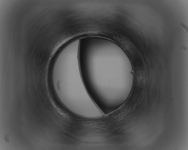 X0000093210728200709261424