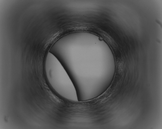 X0000093210729200709261424