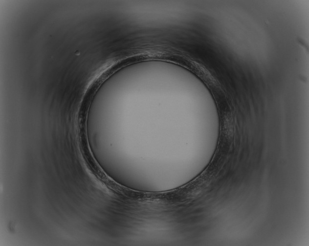 X0000093210730200709261424