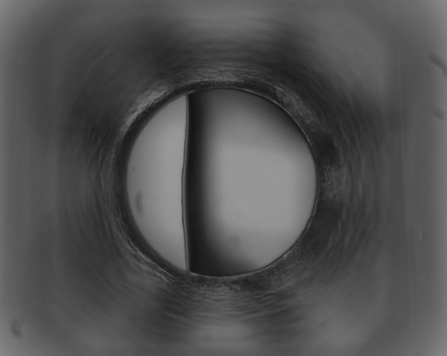 X0000093210731200709261424