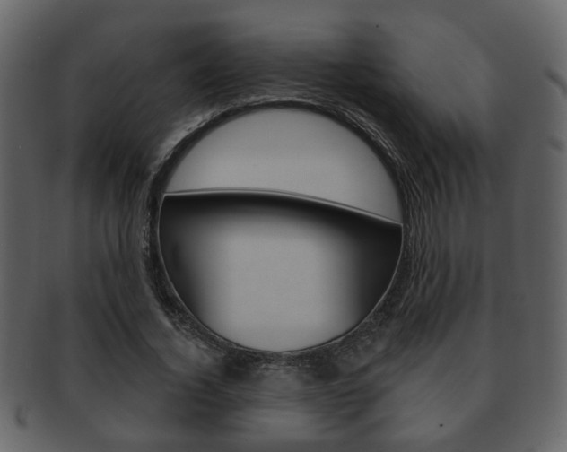 X0000093210732200709261424