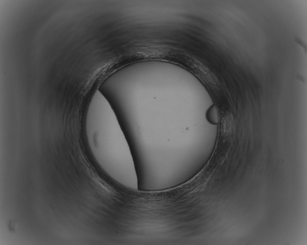 X0000093210733200709261424