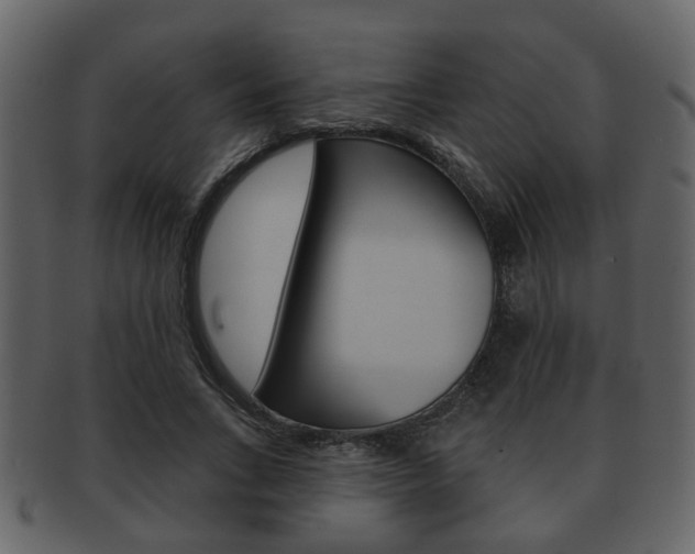 X0000093210735200709261424
