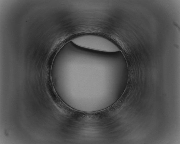 X0000093210736200709261425