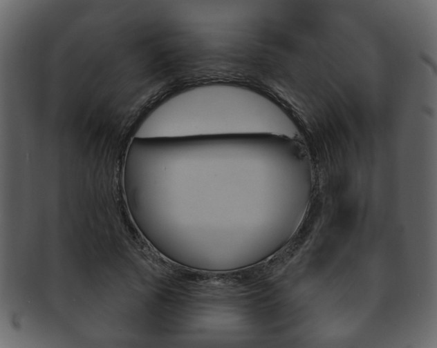 X0000093210737200709261425