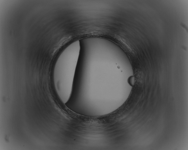 X0000093210738200709261425