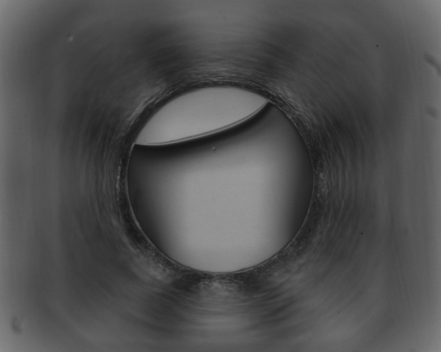 X0000093210739200709261425