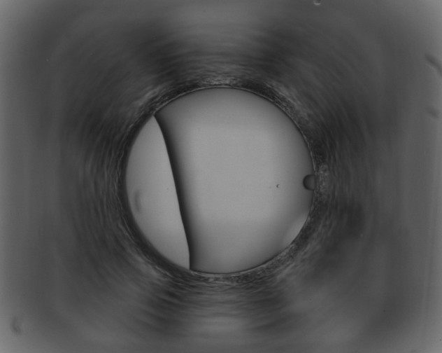 X0000093210741200709261425