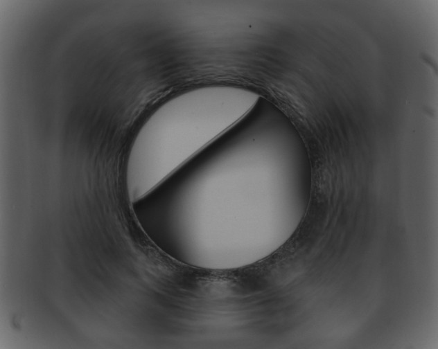X0000093210743200709261425