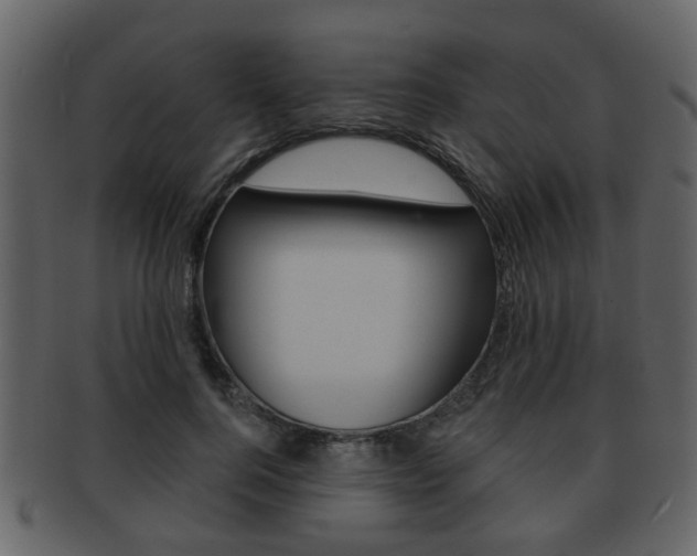 X0000093210744200709261425