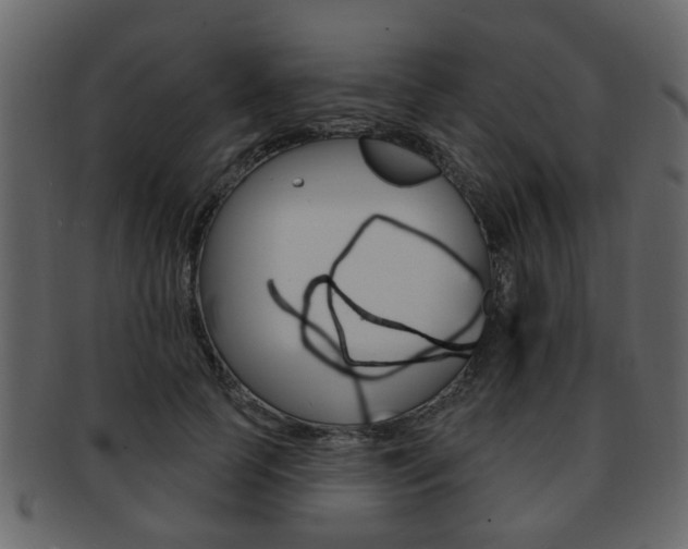 X0000093210745200709261425