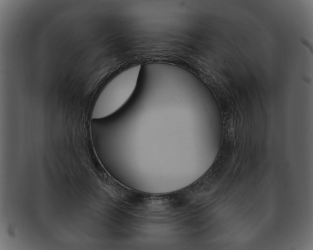 X0000093210746200709261425