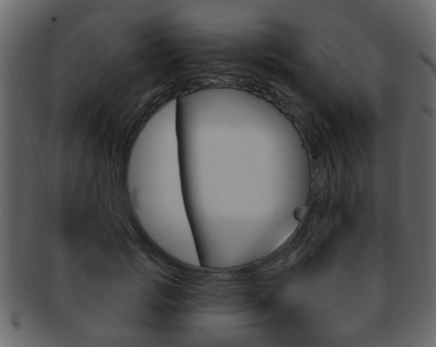 X0000093210749200709261425