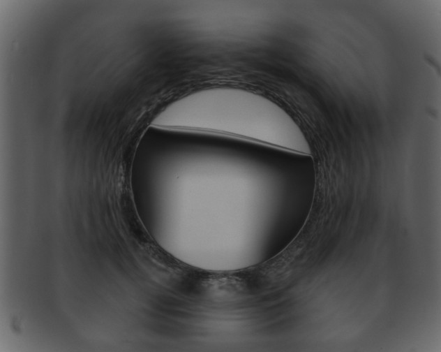 X0000093210752200709261425