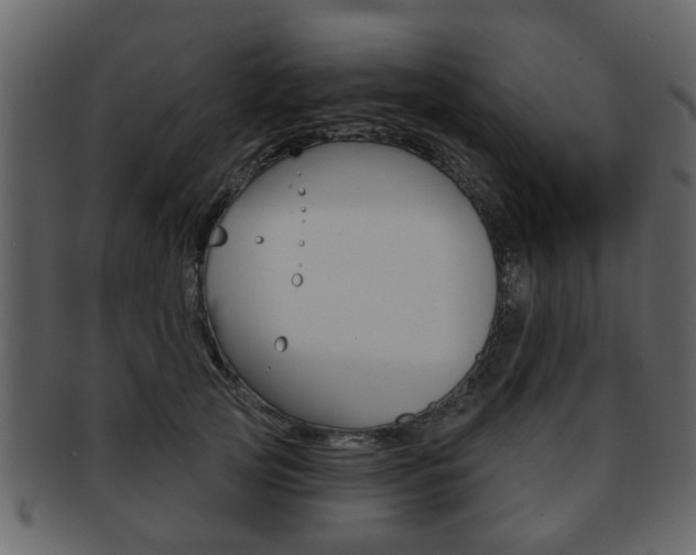 X0000093210753200709261425