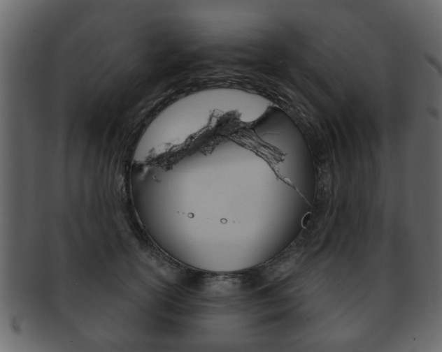 X0000093210754200709261425