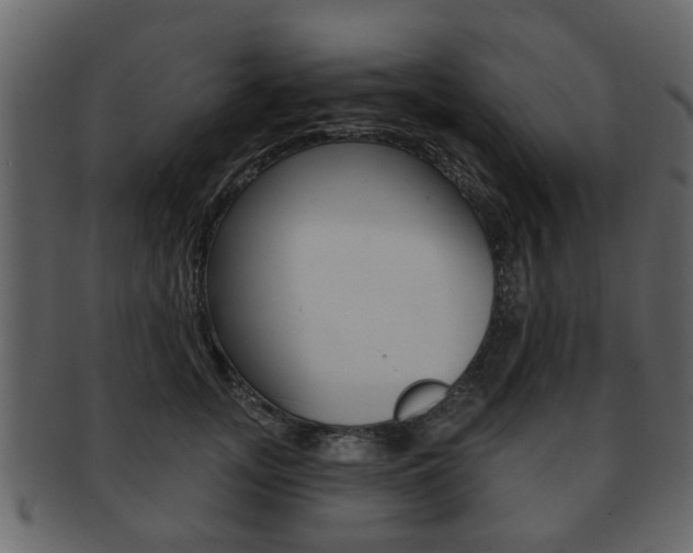 X0000093210755200709261425