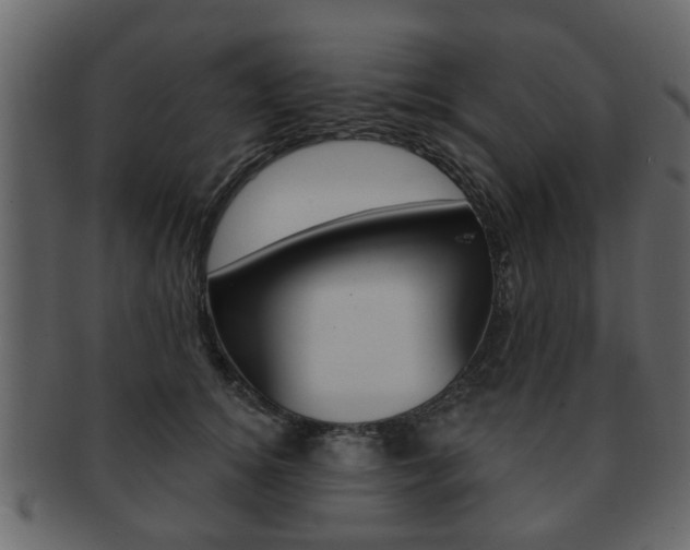 X0000093210756200709261425