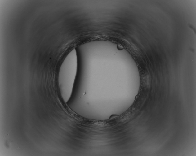 X0000093210757200709261425